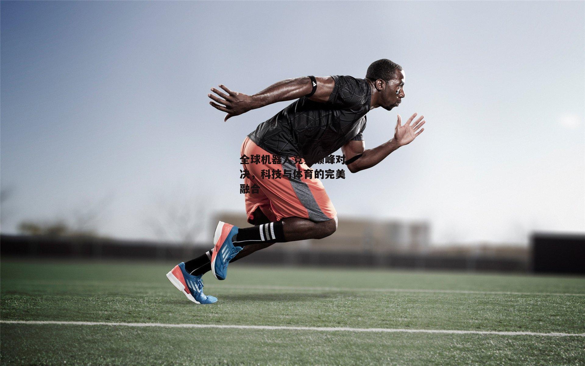 全球机器人竞赛巅峰对决，科技与体育的完美融合